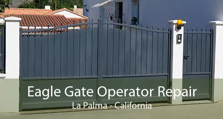 Eagle Gate Operator Repair La Palma - California