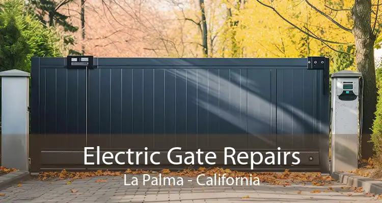 Electric Gate Repairs La Palma - California