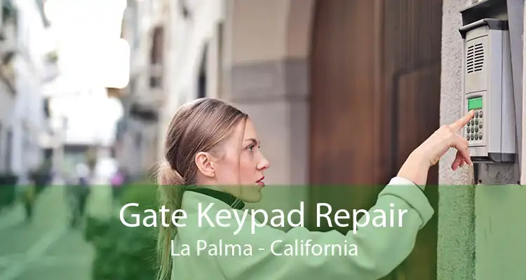 Gate Keypad Repair La Palma - California