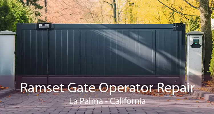 Ramset Gate Operator Repair La Palma - California