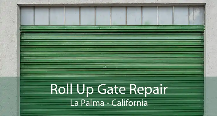 Roll Up Gate Repair La Palma - California