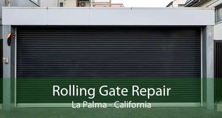 Rolling Gate Repair La Palma - California